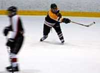 dgt_hockey (6)